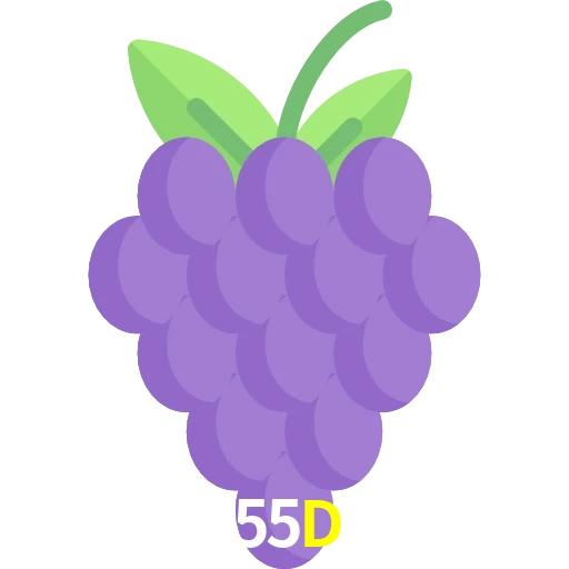 55D